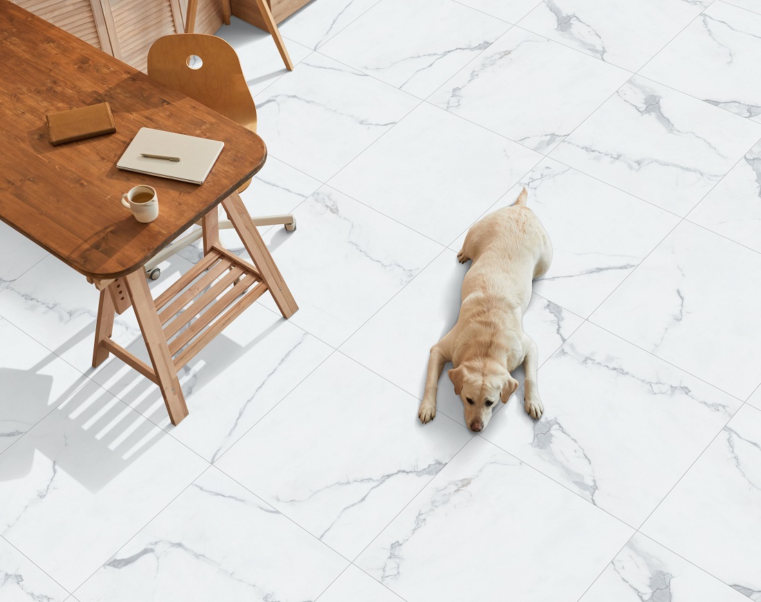 Marble flooring pros and cons-Terni Marble