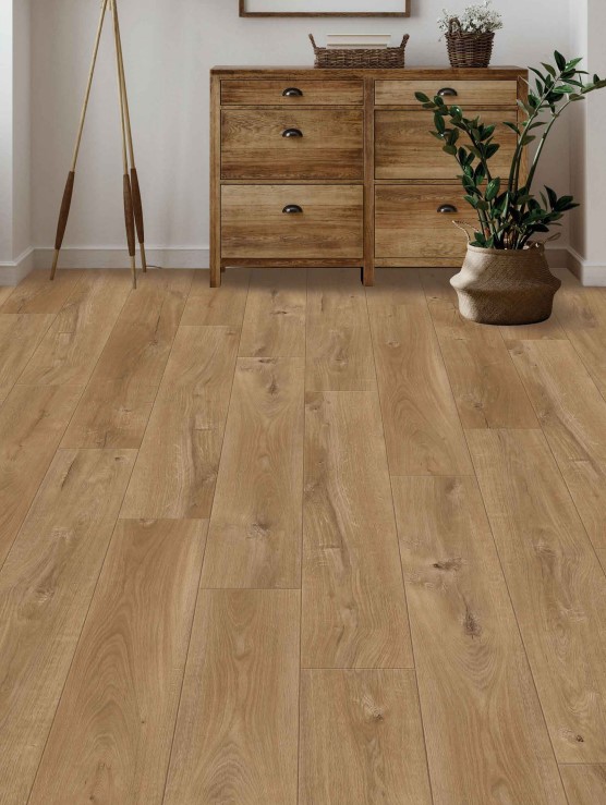 TWG-21701 YEBINNA OAK