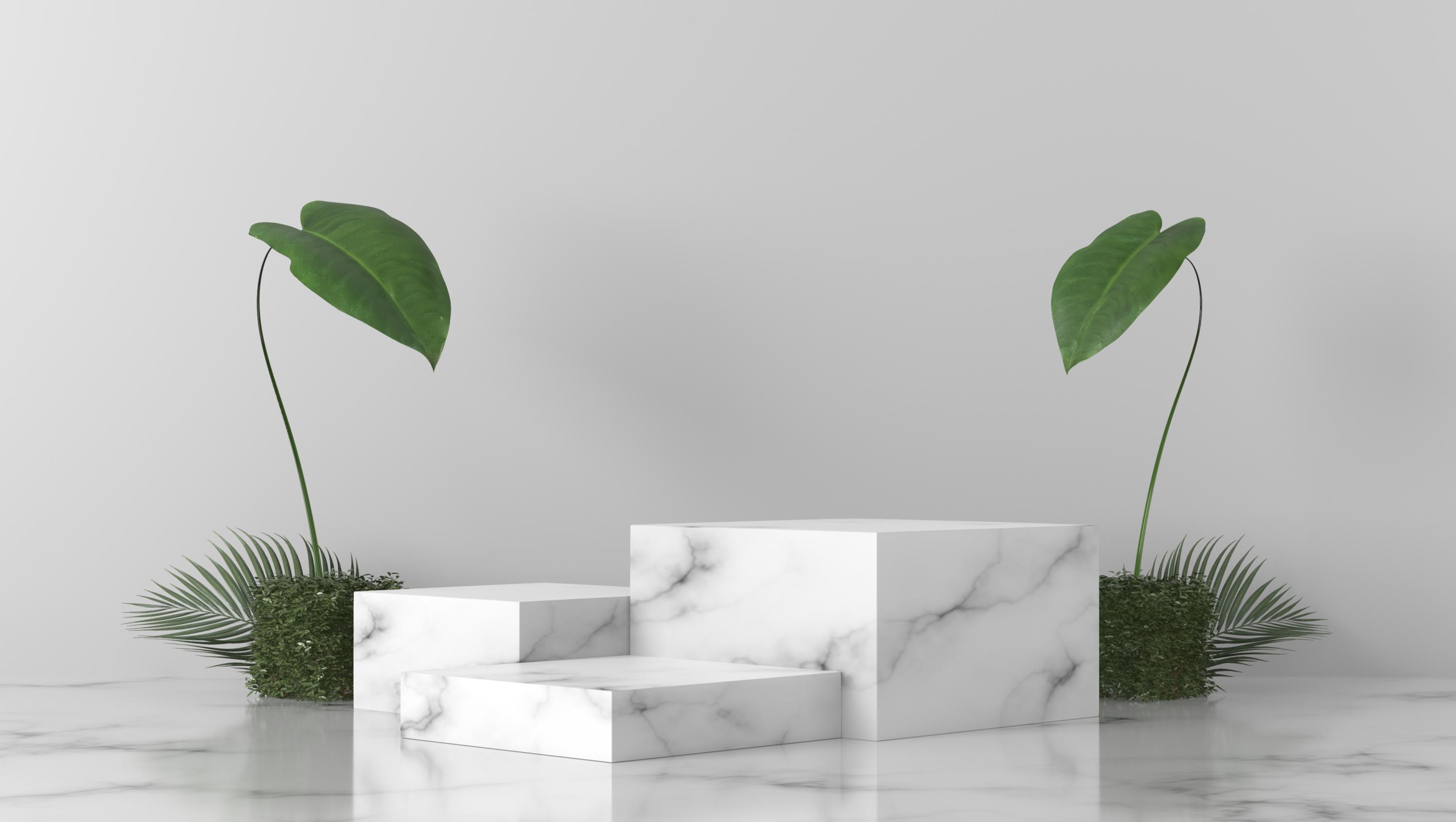 What Types of Stone Flooring is the Best in Your House?